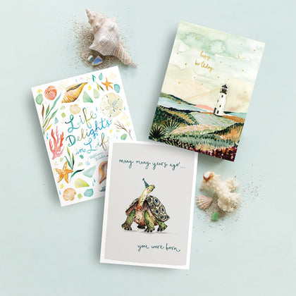 Three greeting cards on a light background, featuring: seashells and Life Delights in Life, a lighthouse scene with happy birthday, and a turtle with many, many years ago... you were born. Decorated with seashells.