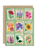 The Seed Packets Notecard Set by Biely & Shoaf features nine vintage-style seed packet designs with colorful flower illustrations, displayed on a green background—perfect for boxed notes or notecards.