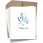 Seahorse Boxed Notecard - Box Of 10