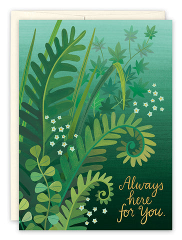 Ferns Sympathy Card
