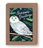 Snowy Owl Boxed Cards